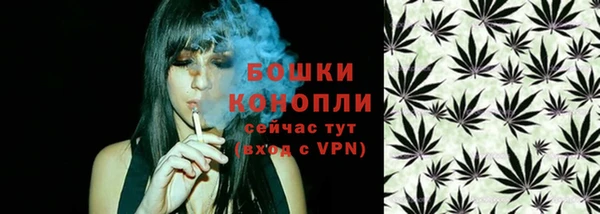 ПСИЛОЦИБИНОВЫЕ ГРИБЫ Аркадак