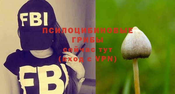 ПСИЛОЦИБИНОВЫЕ ГРИБЫ Аркадак