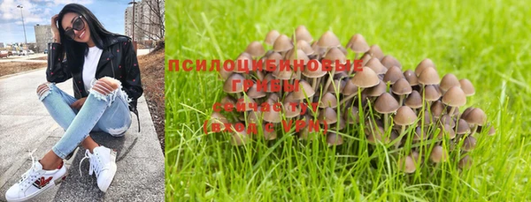 ПСИЛОЦИБИНОВЫЕ ГРИБЫ Аркадак