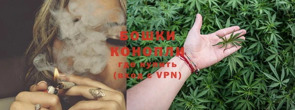 ПСИЛОЦИБИНОВЫЕ ГРИБЫ Аркадак