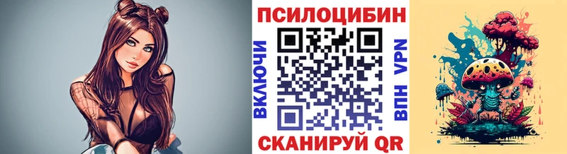 Галлюциногенные грибы MAGIC MUSHROOMS  Стародуб 