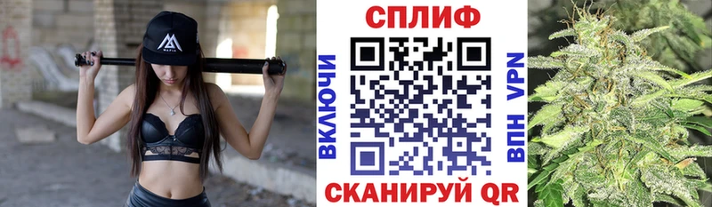 Каннабис сатива  Стародуб 